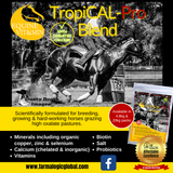 Supplements for Horses Grazing High Oxalate Pastures🚚 Postage to be Quoted - Country Scene Saddlery and Pet Supplies