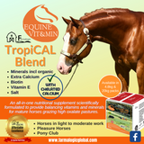 Supplements for Horses Grazing High Oxalate Pastures🚚 Postage to be Quoted - Country Scene Saddlery and Pet Supplies