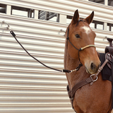 New! Cashel Triple Shock Cord - Country Scene Saddlery and Pet Supplies