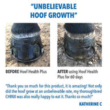New! Hoof Health Plus - Country Scene Saddlery and Pet Supplies