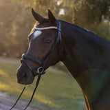 New! Syd Hill Convertible Bridle- Havana - Country Scene Saddlery and Pet Supplies