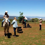 Poly Handi Step 120Kg - Country Scene Saddlery and Pet Supplies