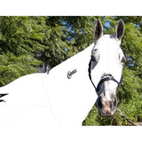 New! EQUINE COMPRESSION NECK AND HOOD COMBO ORIGINAL WHITE - Country Scene Saddlery and Pet Supplies