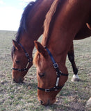New!  PVC Halter Black - Stainless Steel Fittings with Engraved Horse Nameplate