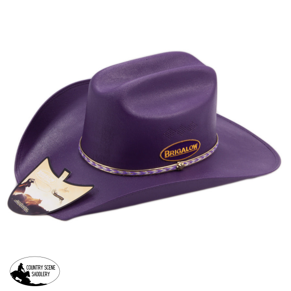 Adult Cheyenne Purple Hat Western