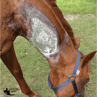Alushield Aerosol Bandage Horse Vitamins & Supplements