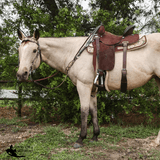 APEX LIMITED EDITION DOGWOOD DESERT - Country Scene Saddlery and Pet Supplies
