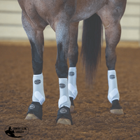 Apex Sport Boots 4 Pack / Small Horse Boots & Leg Wraps