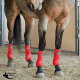 Apex Sport Boots Horse Boots & Leg Wraps