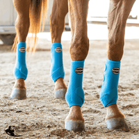 Apex Sport Boots Horse Boots & Leg Wraps