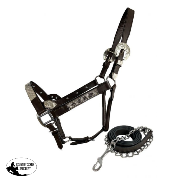 As602 Dark Oil Average Horse Size Leather Double Stitched Silver Bar Show Halter Show Halters