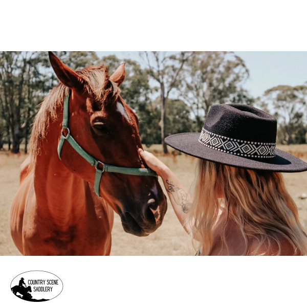Bailey Rancher Hat / Black Hats