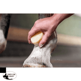 Bense & Eicke HairFine "Soap" 100g - Country Scene Saddlery and Pet Supplies
