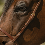 Billy Royal Oiled Royal Herman Oak Flat Nose Caveson for Horses - Country Scene Saddlery and Pet Supplies
