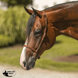 Billy Royal Oiled Royal Herman Oak Flat Nose Caveson for Horses - Country Scene Saddlery and Pet Supplies