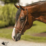 Billy Royal Oiled Royal Herman Oak Flat Nose Caveson for Horses - Country Scene Saddlery and Pet Supplies