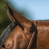Billy Royal Oiled Royal Herman Oak Flat Nose Caveson for Horses - Country Scene Saddlery and Pet Supplies