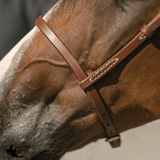 Billy Royal Oiled Royal Herman Oak Flat Nose Caveson for Horses - Country Scene Saddlery and Pet Supplies