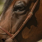 Billy Royal Oiled Royal Herman Oak Flat Nose Caveson for Horses - Country Scene Saddlery and Pet Supplies