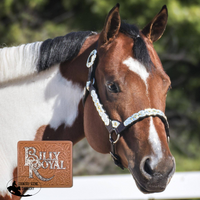 New! Billy Royal® Congress Miss Classic Show Halter
