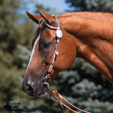 NEW! Billy Royal® Crystal with Oval Scroll Two Ear Headstall - Country Scene Saddlery and Pet Supplies