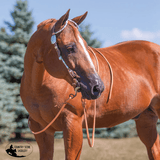 NEW! Billy Royal® Crystal with Oval Scroll Two Ear Headstall - Country Scene Saddlery and Pet Supplies