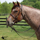 Billy Royal® Dark Oil Harness Leather Reins - Country Scene Saddlery and Pet Supplies