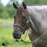 Billy Royal® Deluxe Trail Halter Bridle Combo - Country Scene Saddlery and Pet Supplies