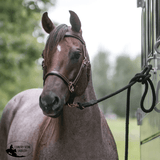 Billy Royal® Deluxe Trail Halter Bridle Combo - Country Scene Saddlery and Pet Supplies