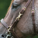 Billy Royal® Deluxe Trail Halter Bridle Combo Halters