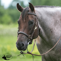 Billy Royal® Deluxe Trail Halter Bridle Combo Halters