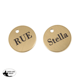 Billy Royal® Deluxe Trail Halter Bridle Combo Halters