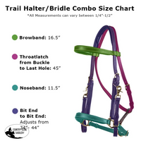 Billy Royal® Deluxe Trail Halter Bridle Combo Halters