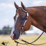 New! Billy Royal® Double Diamond Two Ear Headstall - Country Scene Saddlery and Pet Supplies