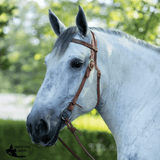 New! Billy Royal® Draft Horse Harness Leather Headstall - Country Scene Saddlery and Pet Supplies