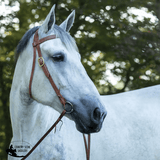 New! Billy Royal® Draft Horse Harness Leather Headstall - Country Scene Saddlery and Pet Supplies