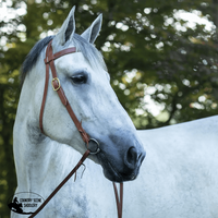 Billy Royal® Draft Horse Harness Leather Headstall Western Bridle