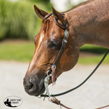 Billy Royal® Drover Ranch Western Headstall - Country Scene Saddlery and Pet Supplies