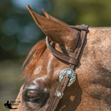 Billy Royal® Drover Ranch Western Headstall Bridle