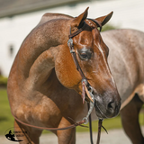 Billy Royal® Drover Ranch Western Headstall Bridle