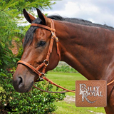 Billy Royal® Extra Heavy Hermann Oak Leather Reins - Country Scene Saddlery and Pet Supplies