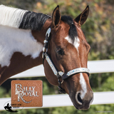 New! Billy Royal® Fort Worth Supreme Show Halter (Pre Orders)