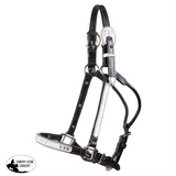 New! Billy Royal® Gemini Arabian Silver Show Halter