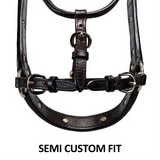 Billy Royal® Gold Standard Fitted Show Halter
