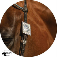 New!billy Royal® Gwendolyn Two Ear Headstall Posted.