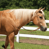 Billy Royal® Harness Leather Quick Change Bridle - Country Scene Saddlery and Pet Supplies