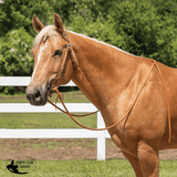 Billy Royal® Harness Leather Quick Change Bridle - Country Scene Saddlery and Pet Supplies