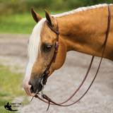 Billy Royal® Leather Performance One Ear Quick Change Headstall - Silver