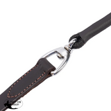 Billy Royal® Leather Show Lead with Cord - 6 ft - Show lead