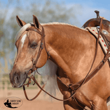 Billy Royal® Oiled Hermann Oak Leather Browband Headstall - Country Scene Saddlery and Pet Supplies